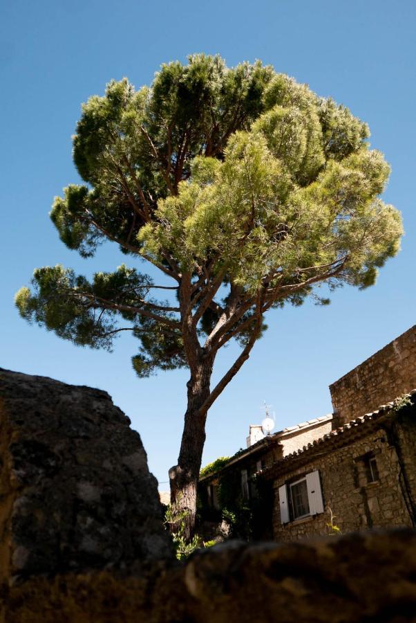 Les Maisons Mado Venasque Exteriör bild